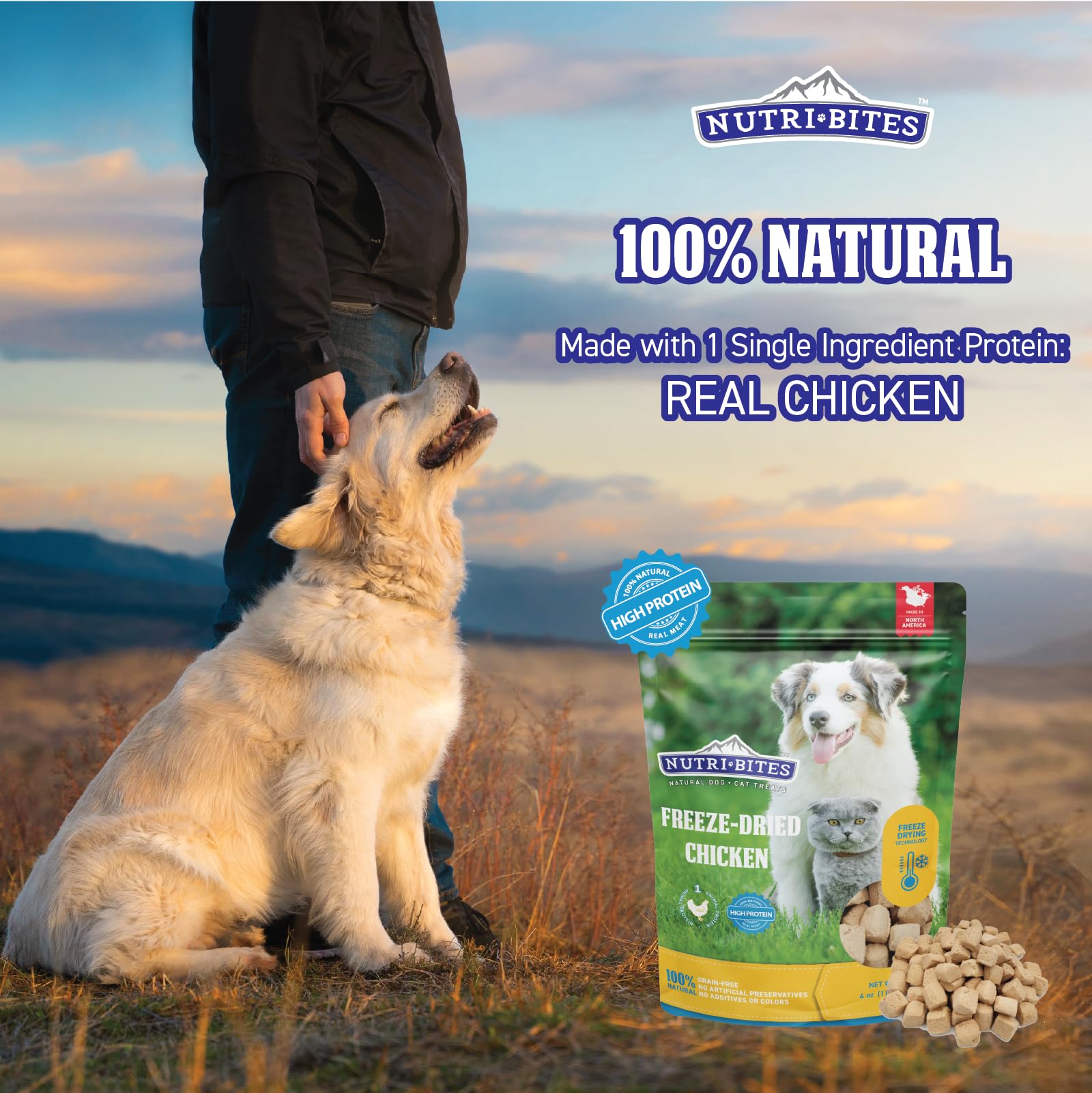 Nutri Bites treats in a bowl ideal meal topper for tastier kibble