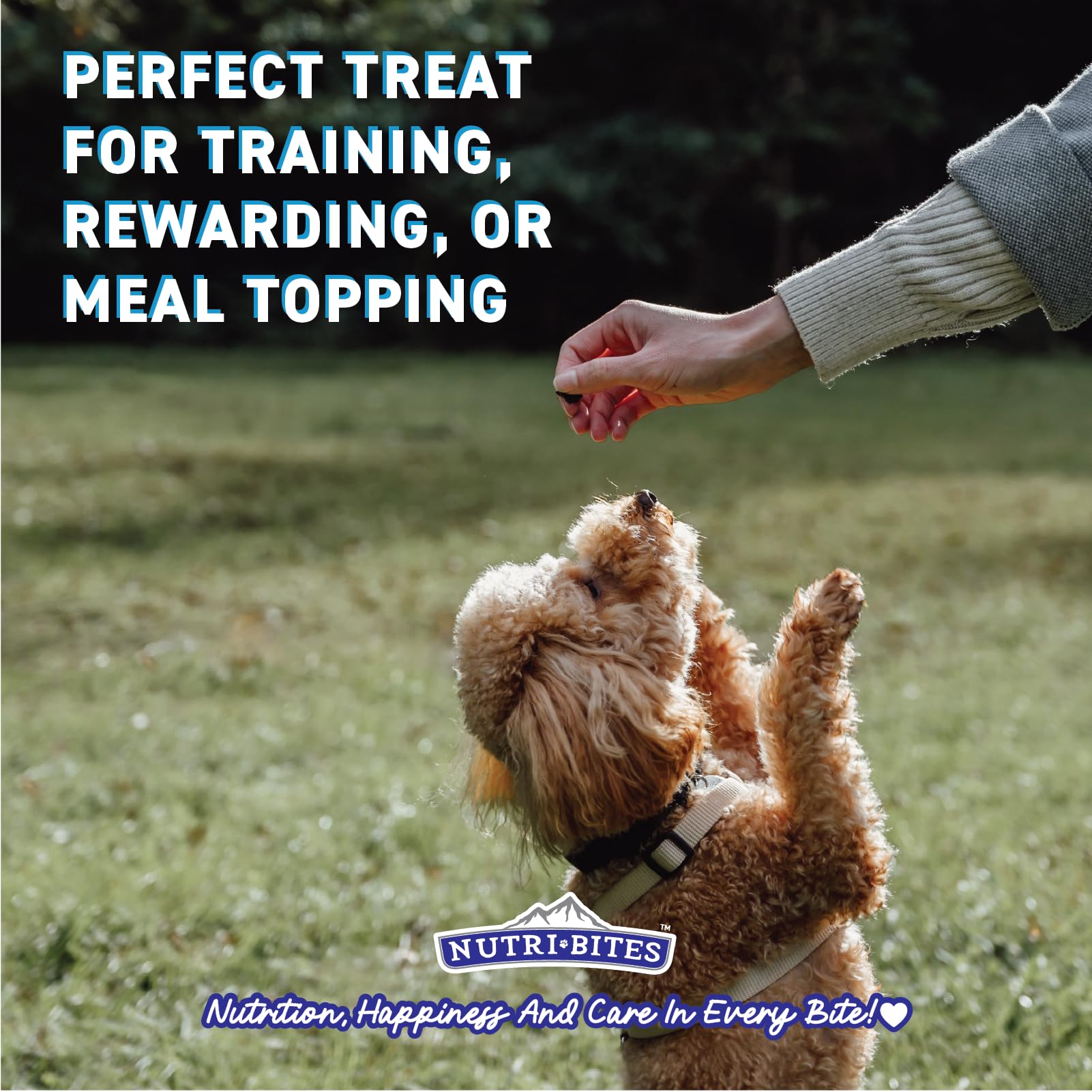 Nutri Bites freeze-dried chicken treats as training reward boosts focus