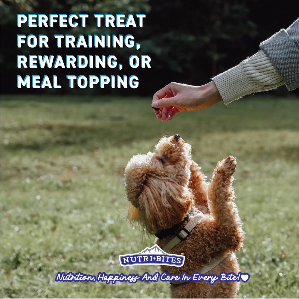 Nutri Bites freeze-dried chicken treats as training reward boosts focus