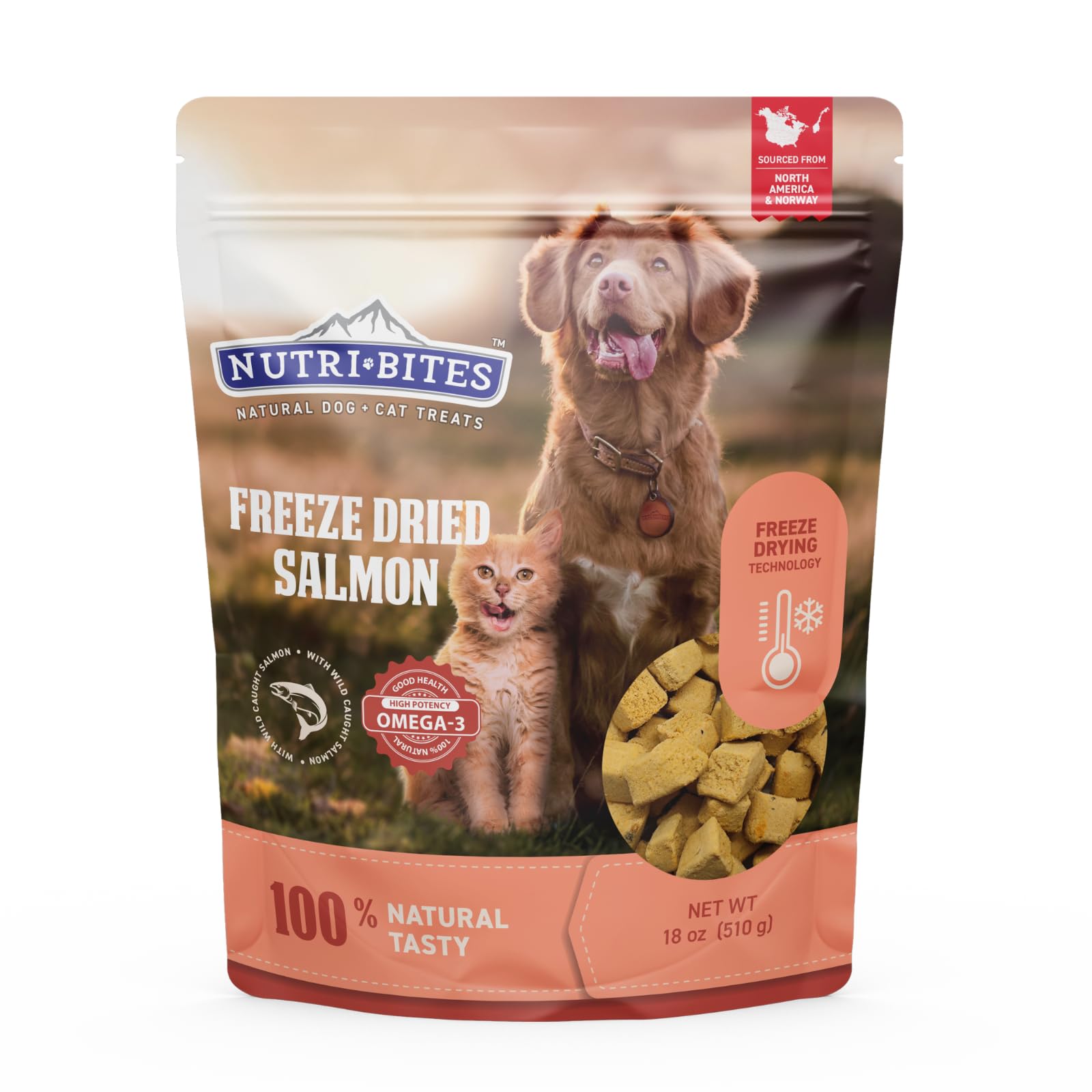 Nutri Bites freeze-dried salmon treats bulk pouch front for training rewards and meals.