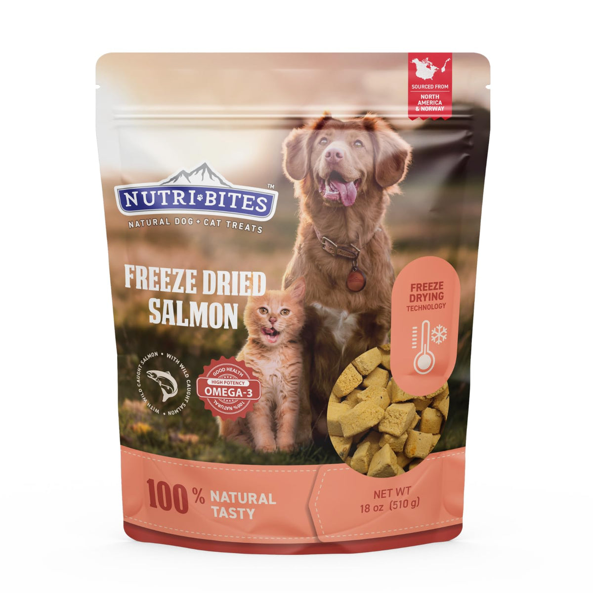 Nutri Bites freeze-dried salmon treats bulk pouch front for training rewards and meals.