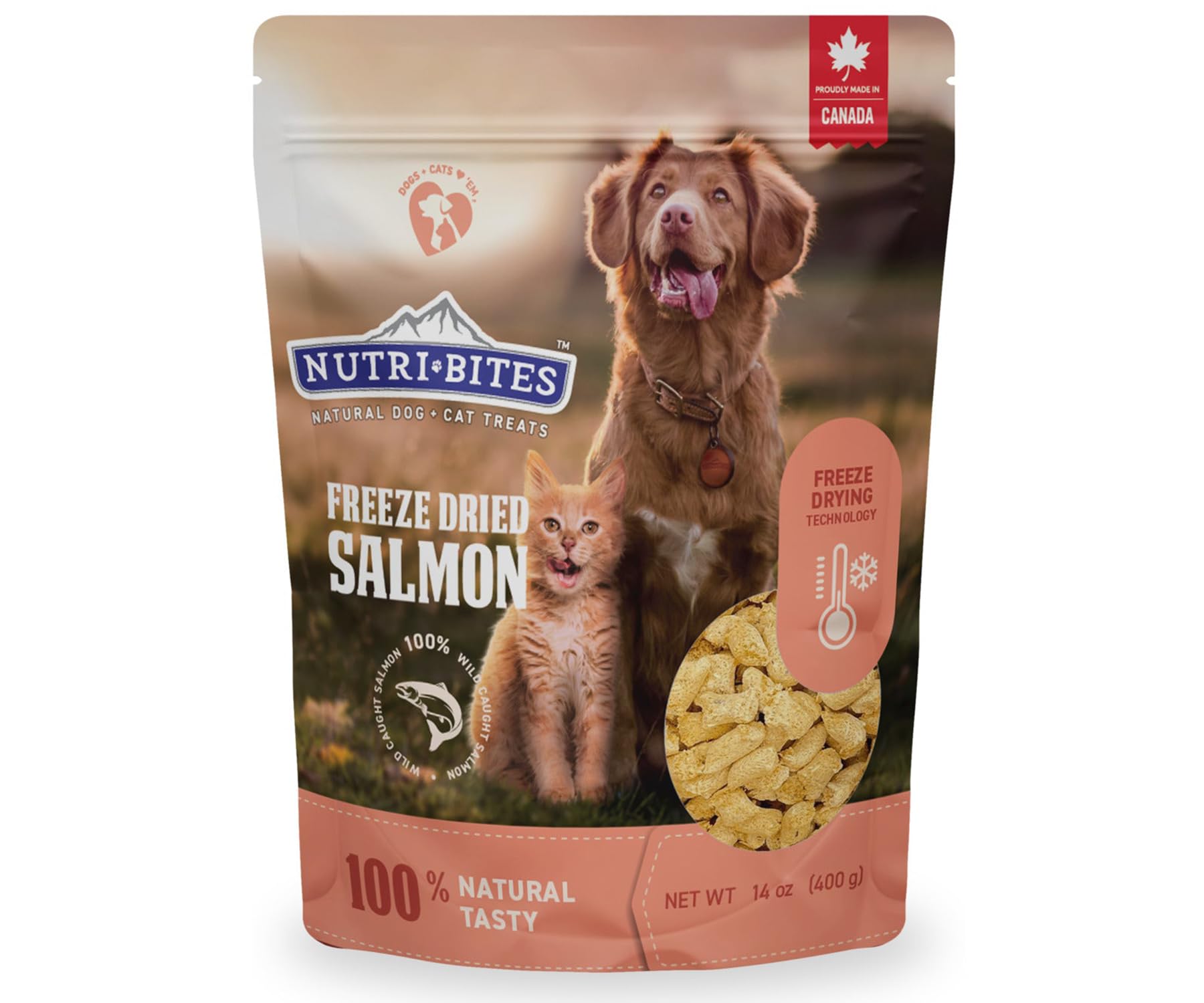 Nutri Bites packaging showing freeze-dried salmon treats with all-natural protein.