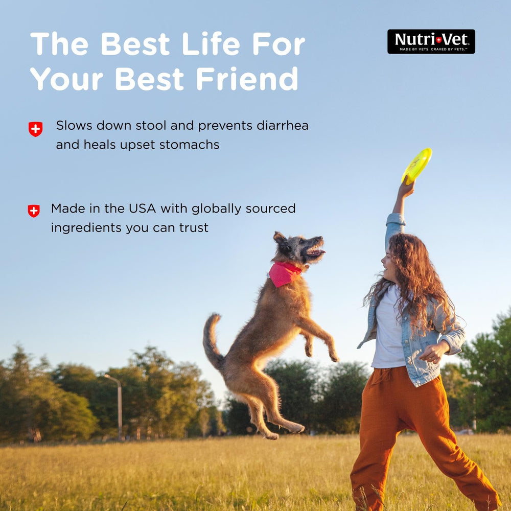 Nutri-Vet Anti-Diarrhea Liquid shown with a calm, resting dog indicating relief.