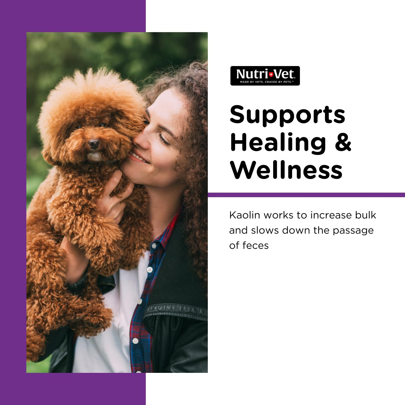 Nutri-Vet bottle beside a playful puppy signaling digestive care for puppies.