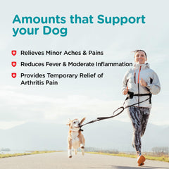 Nutri-Vet Aspirin for Dogs active dog scene suggesting improved mobility.
