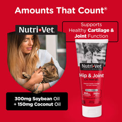 Nutri-Vet glucosamine-chondroitin-msm-blend supports cartilage and flexibility