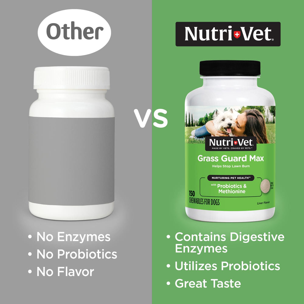 Nutri-Vet Grass Guard chewables taste image: dog enjoys liver flavor while supporting digestion.