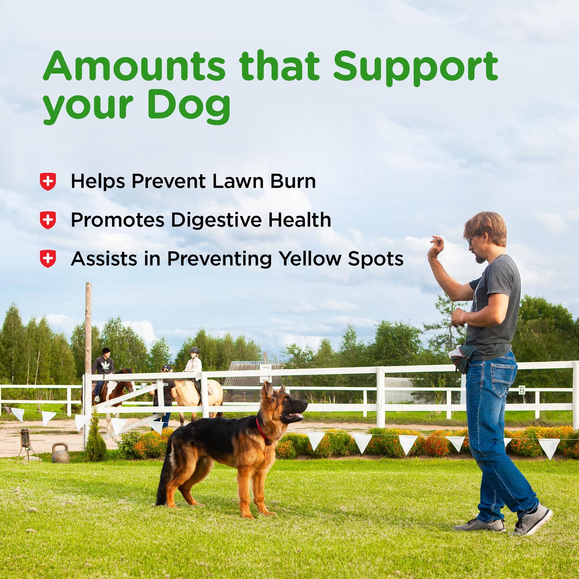 Nutri-Vet Grass Guard digestive enzymes support balanced digestion.