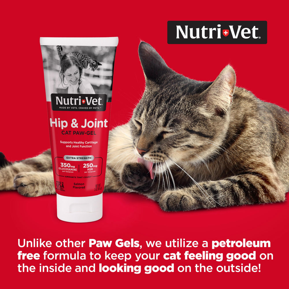 Nutri-Vet salmon-flavor paw-gel bottle ready to serve for joint support