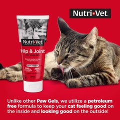 Nutri-Vet salmon-flavor paw-gel bottle ready to serve for joint support