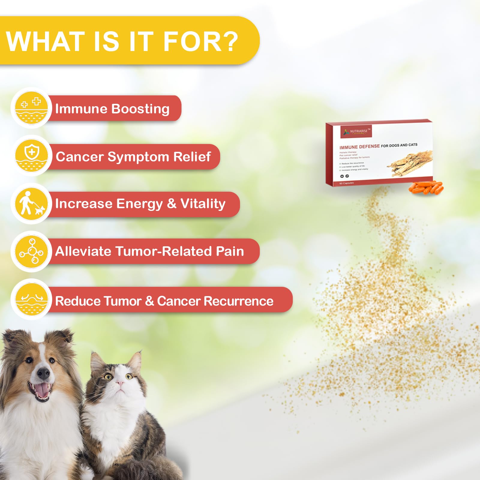 NUTRIARISE Immune Defense capsules ready for daily pet immune support.