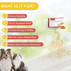 NUTRIARISE Immune Defense capsules ready for daily pet immune support.