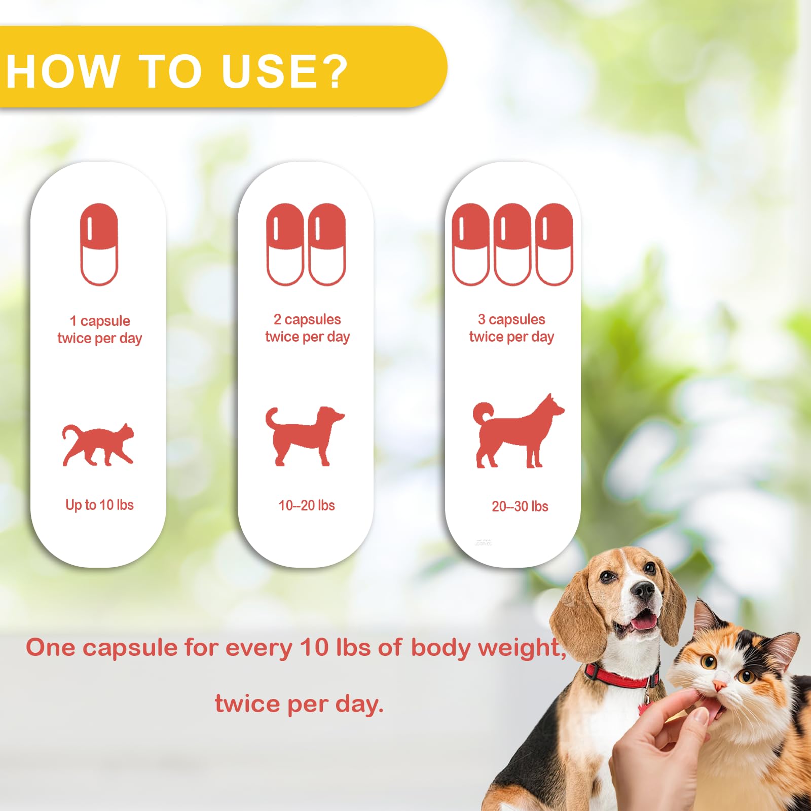NUTRIARISE Immune Defense for dogs and cats supports overall well-being.
