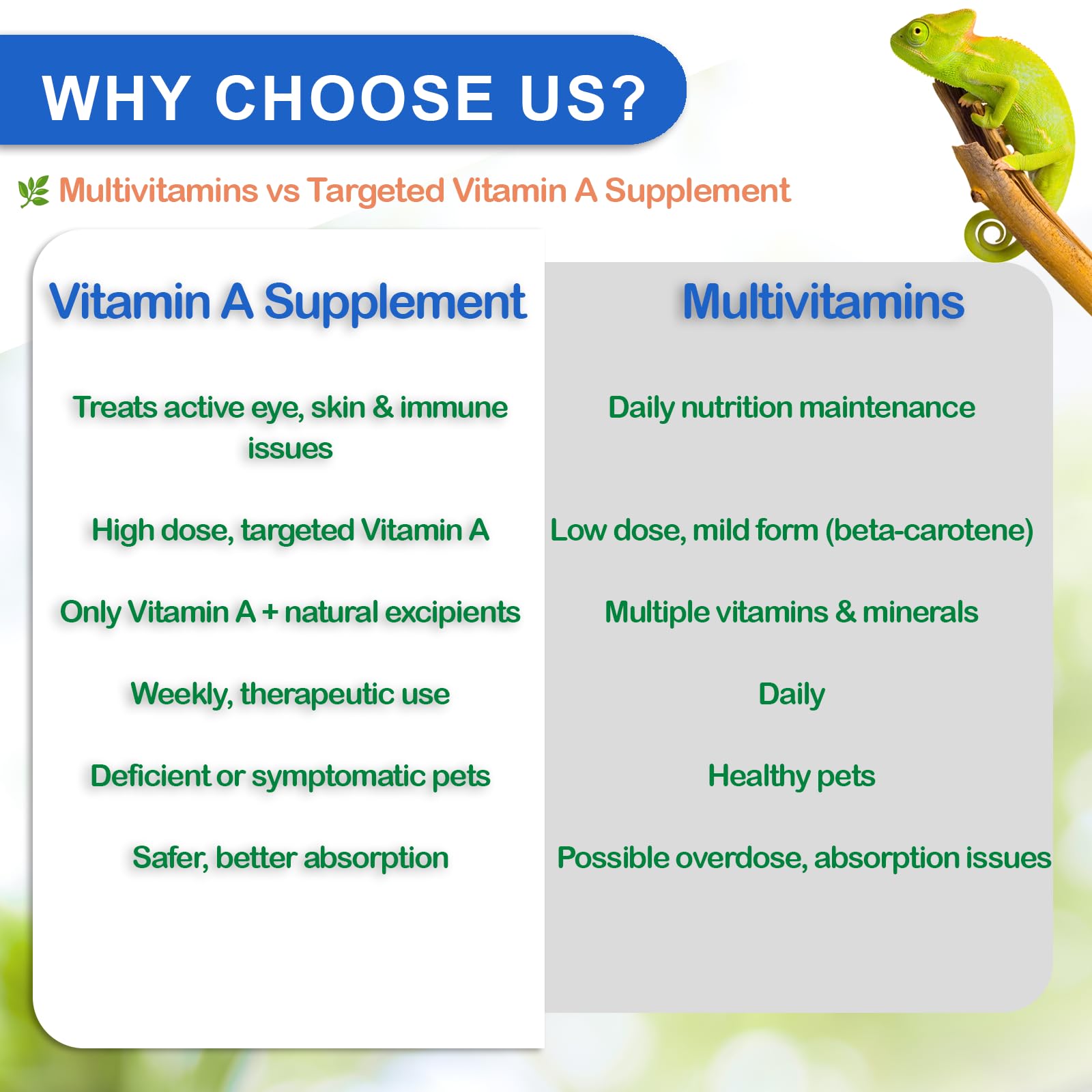NUTRIARISE reptile vitamin-a gecko snack imagery suggesting growth support potential.