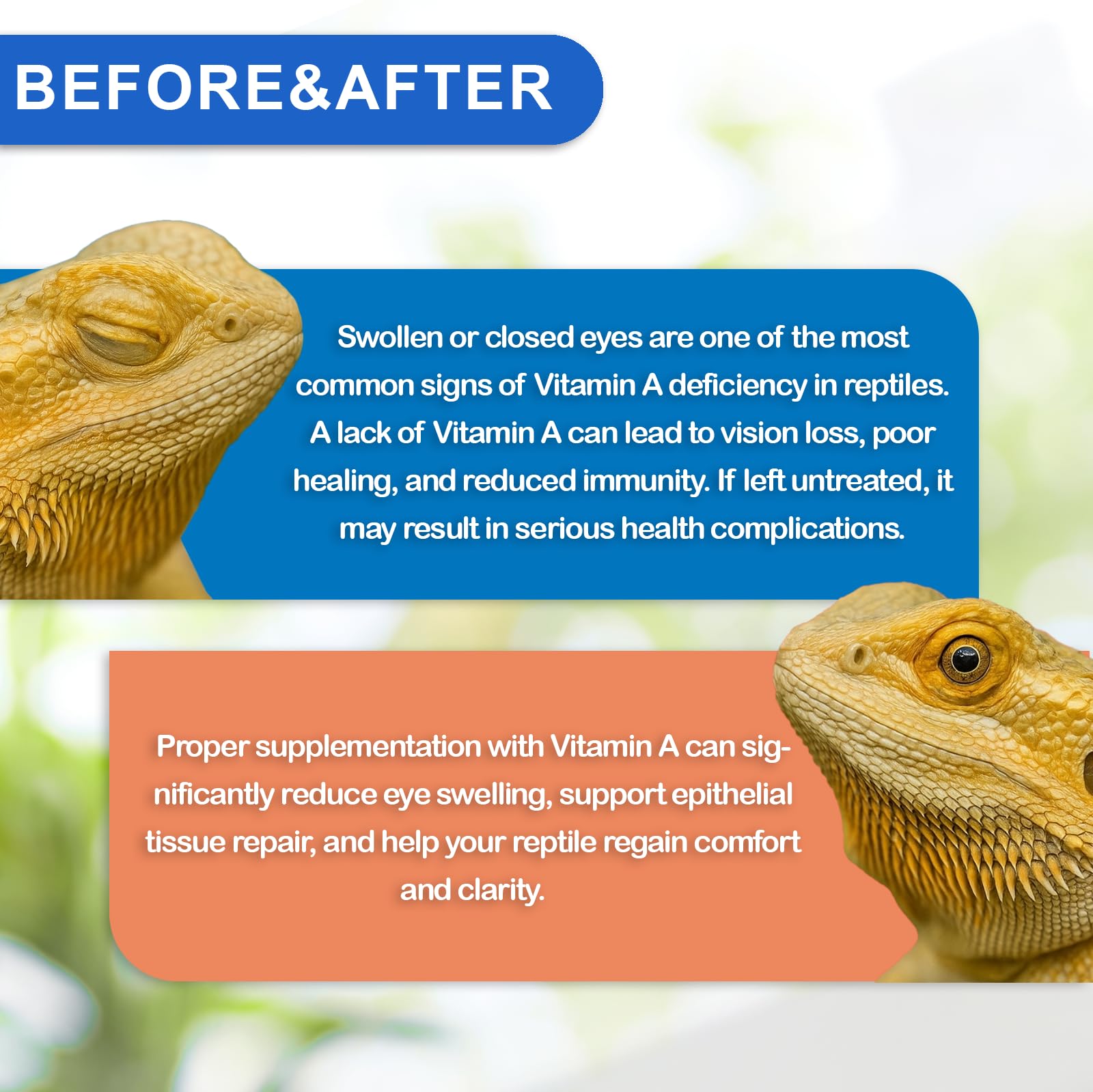 NUTRIARISE reptile vitamin-a turtle diet imagery conveying healthy development possibilities.