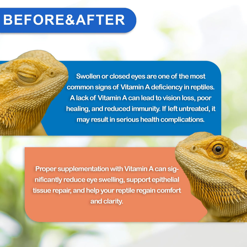 NUTRIARISE reptile vitamin-a turtle diet imagery conveying healthy development possibilities.