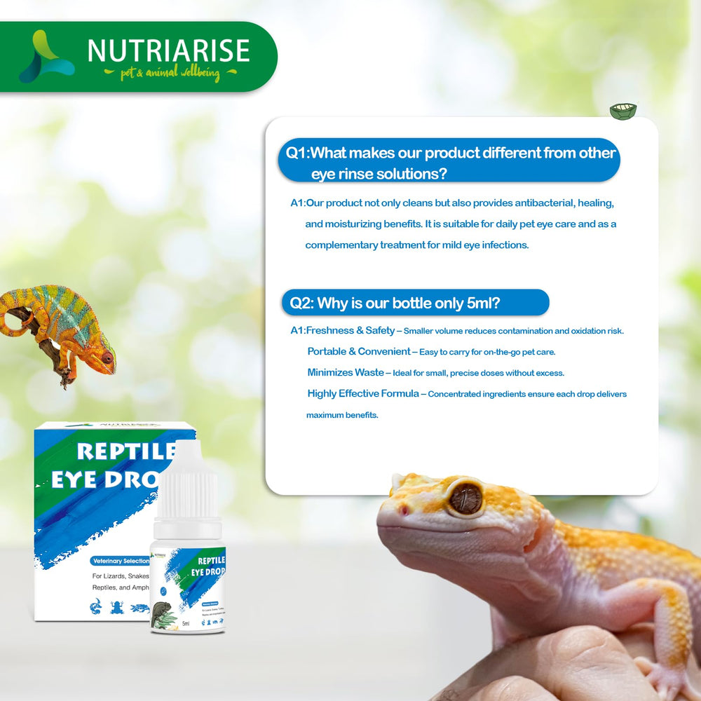 Nutriarise snakes and lizards eye care supports regular maintenance.