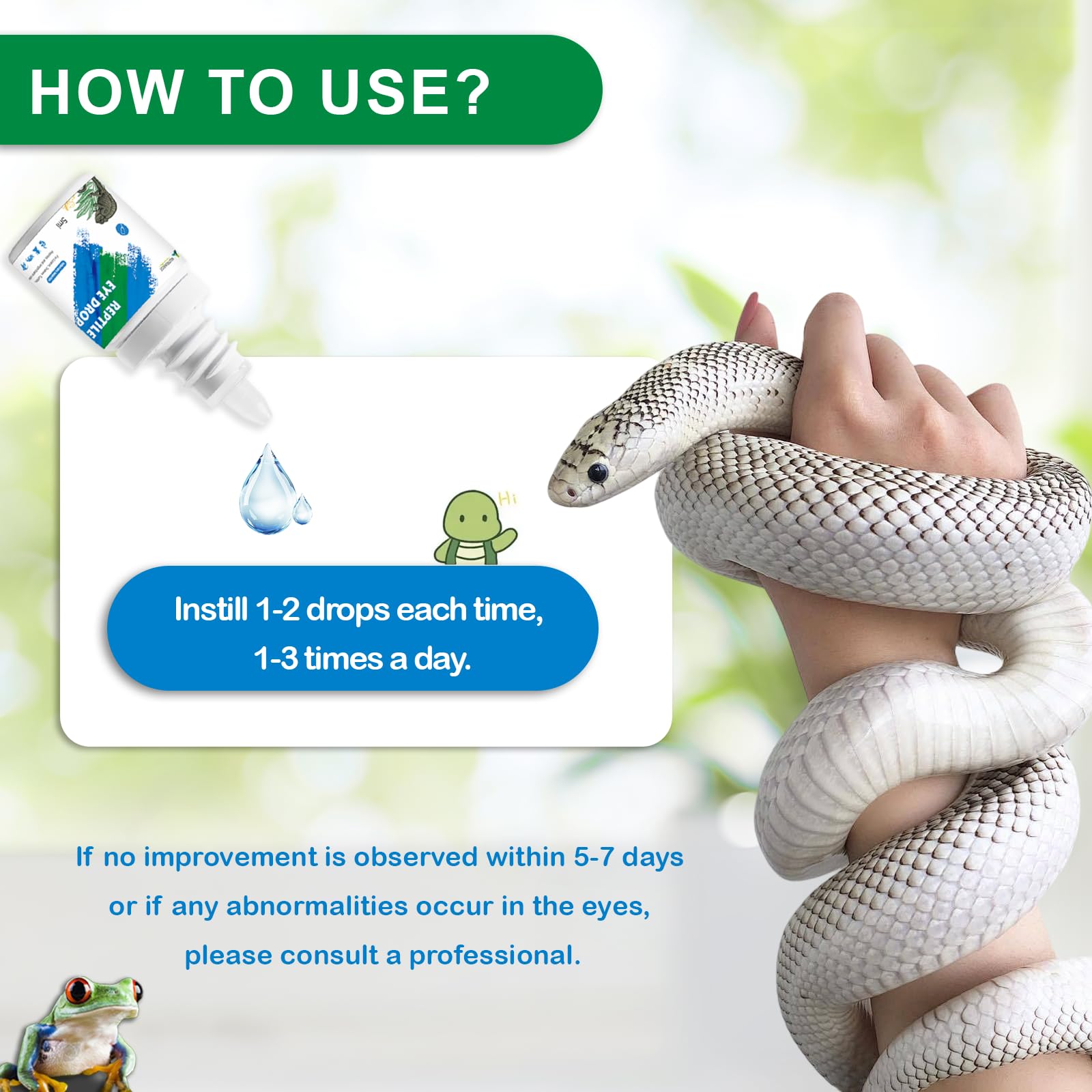 Nutriarise turtle eye care setup highlights clear eye area.