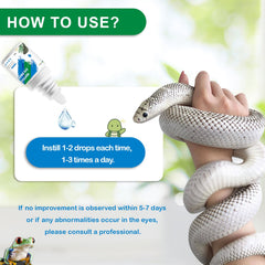 Nutriarise turtle eye care setup highlights clear eye area.