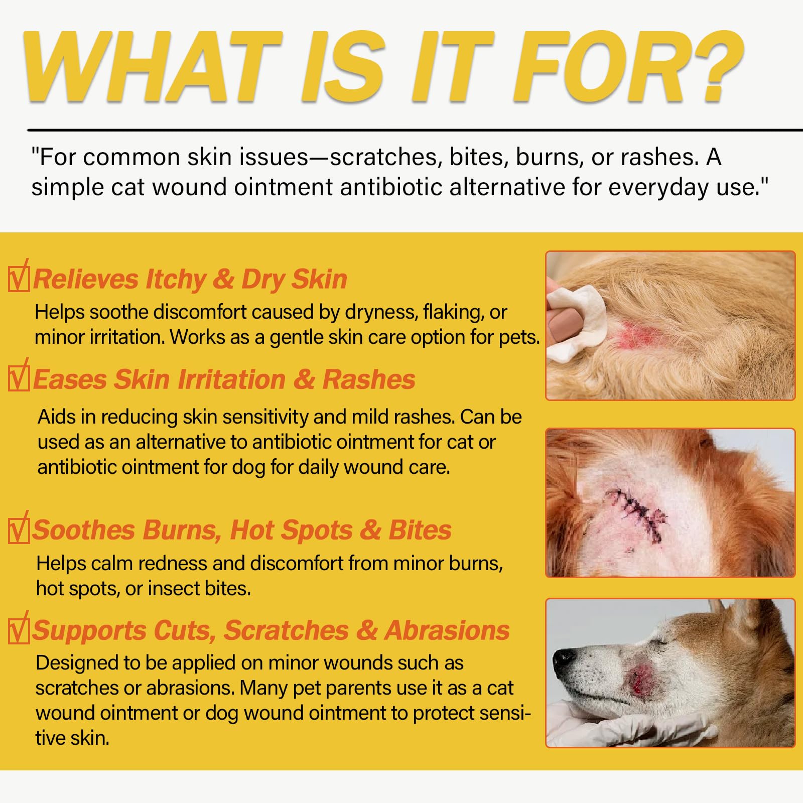 Nutriarise wound care ointment dog paw application demonstrates pet-friendly wound care