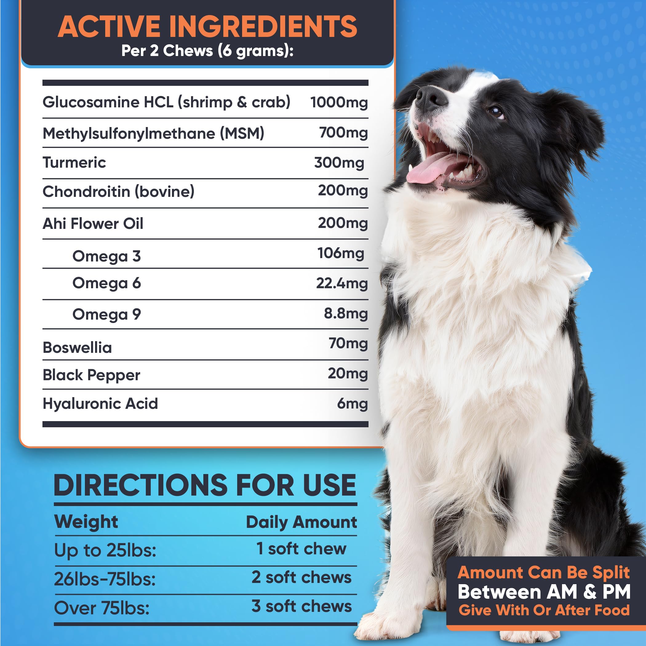Nutribark Glucosamine dog stability pose mid-motion.