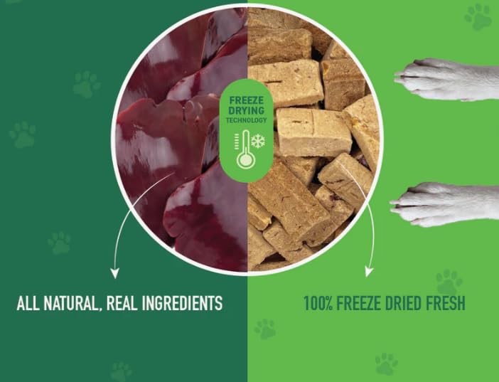 NutriBites freeze-dried beef liver closeup-texture reveals crisp, high-protein snack