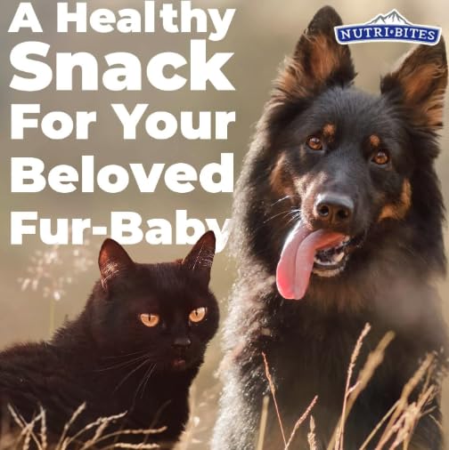 Nutribites freeze-dried beef liver treats serving cup, convenient daily reward.