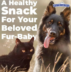 Nutribites freeze-dried beef liver treats serving cup, convenient daily reward.