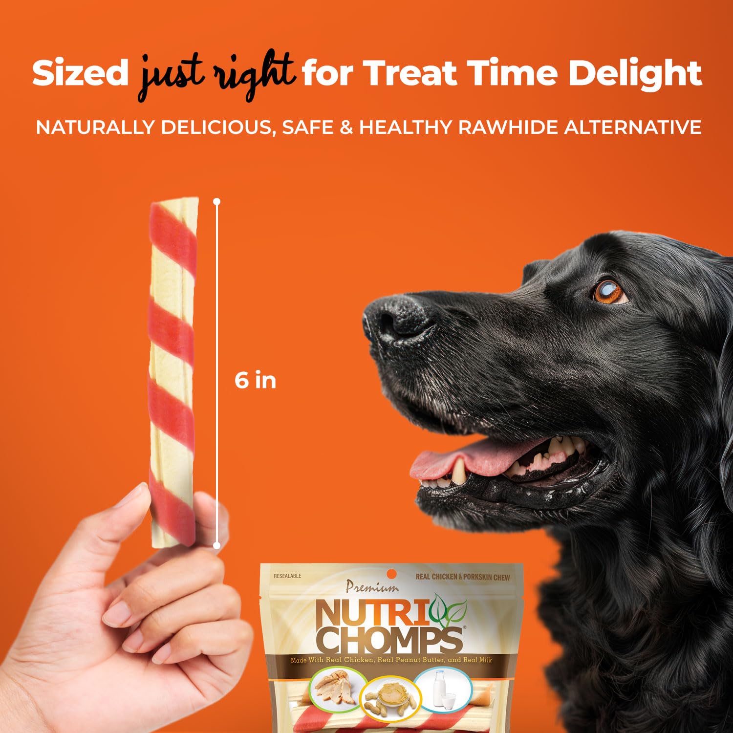 NutriChomps rawhide-free chew showing easy digestion