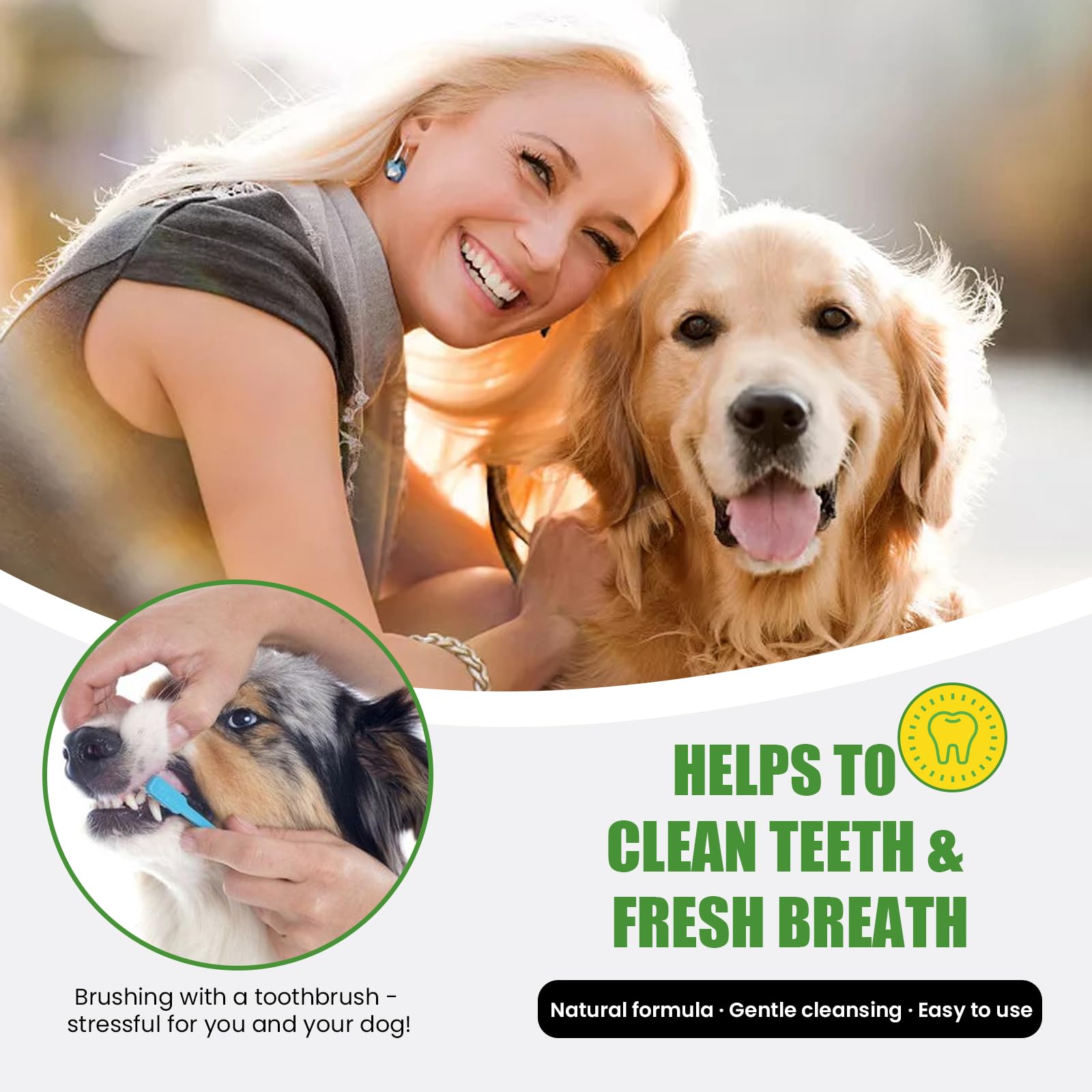Nutridog brown algae probiotic blend supports oral health