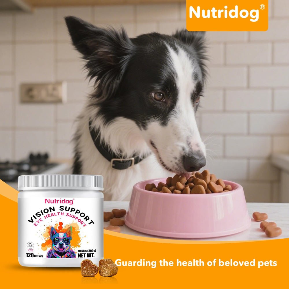 Nutridog marigold extract with beta-carotene for tear film stability