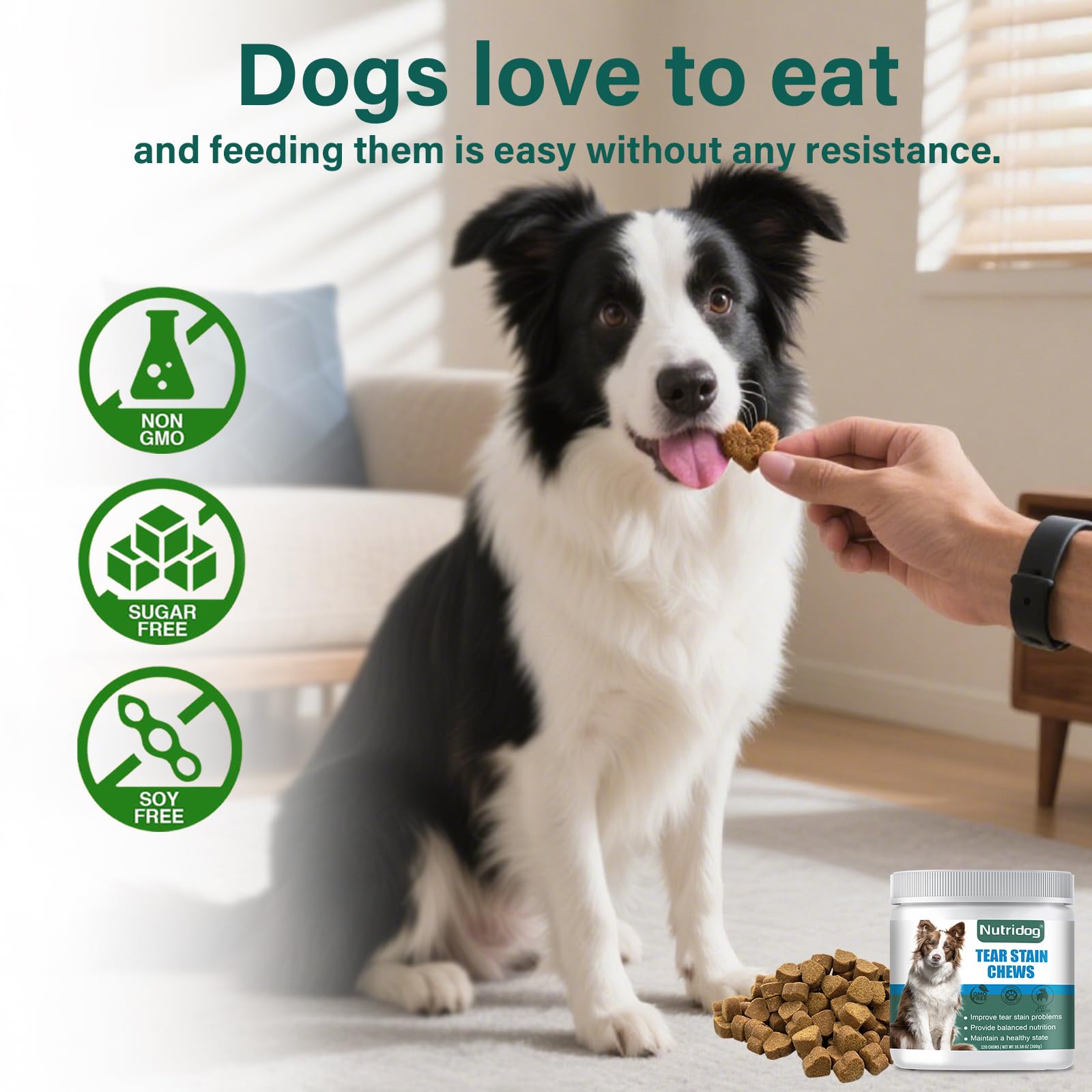 Nutridog Tear Stain Chews trusted by groomers for white fur care.