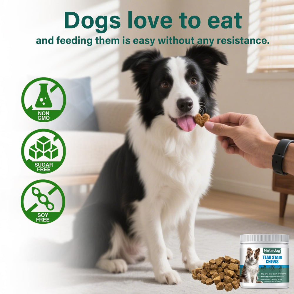 Nutridog Tear Stain Chews trusted by groomers for white fur care.