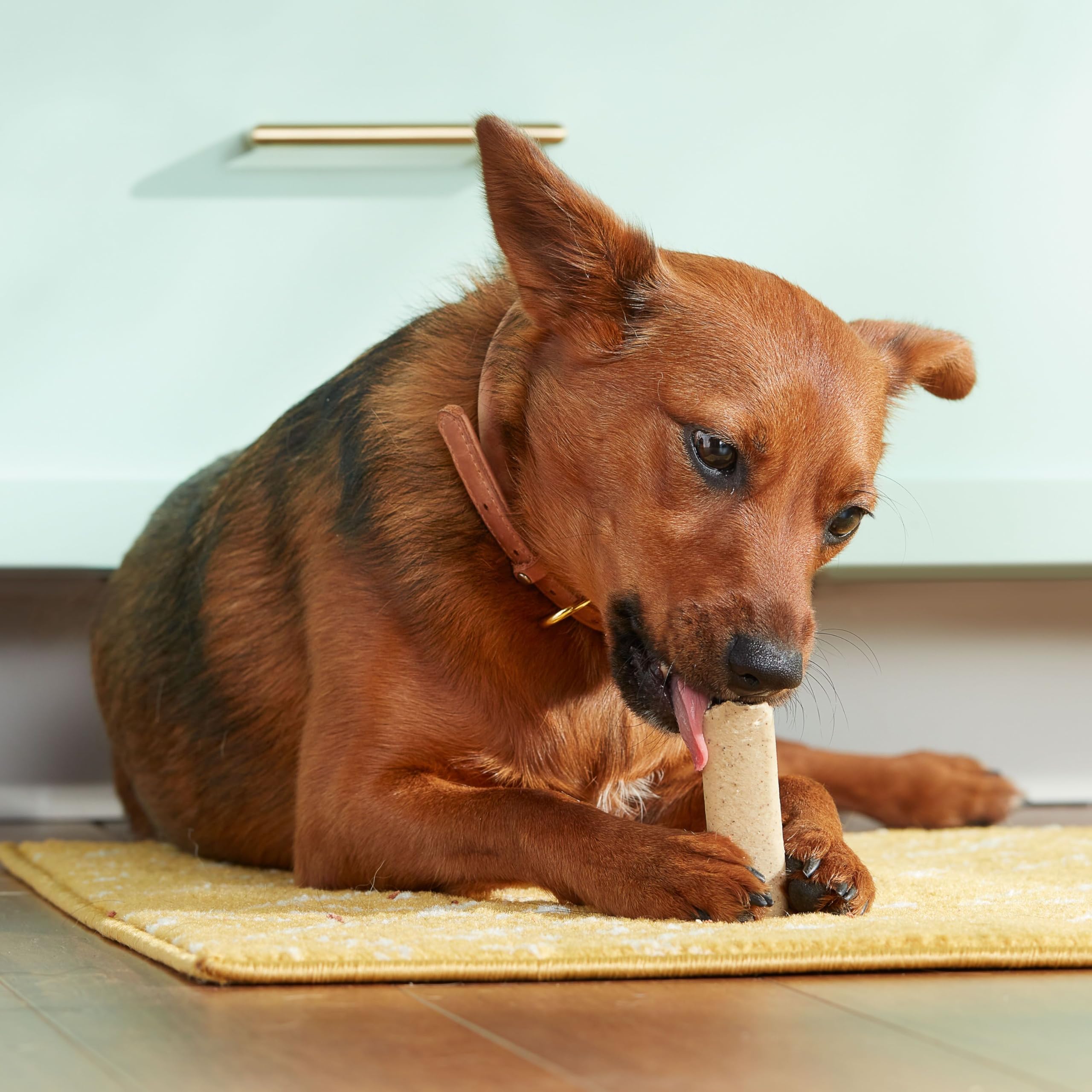 Nutrish Soup Bones no corn or soy statement on packaging appeals to sensitive dogs