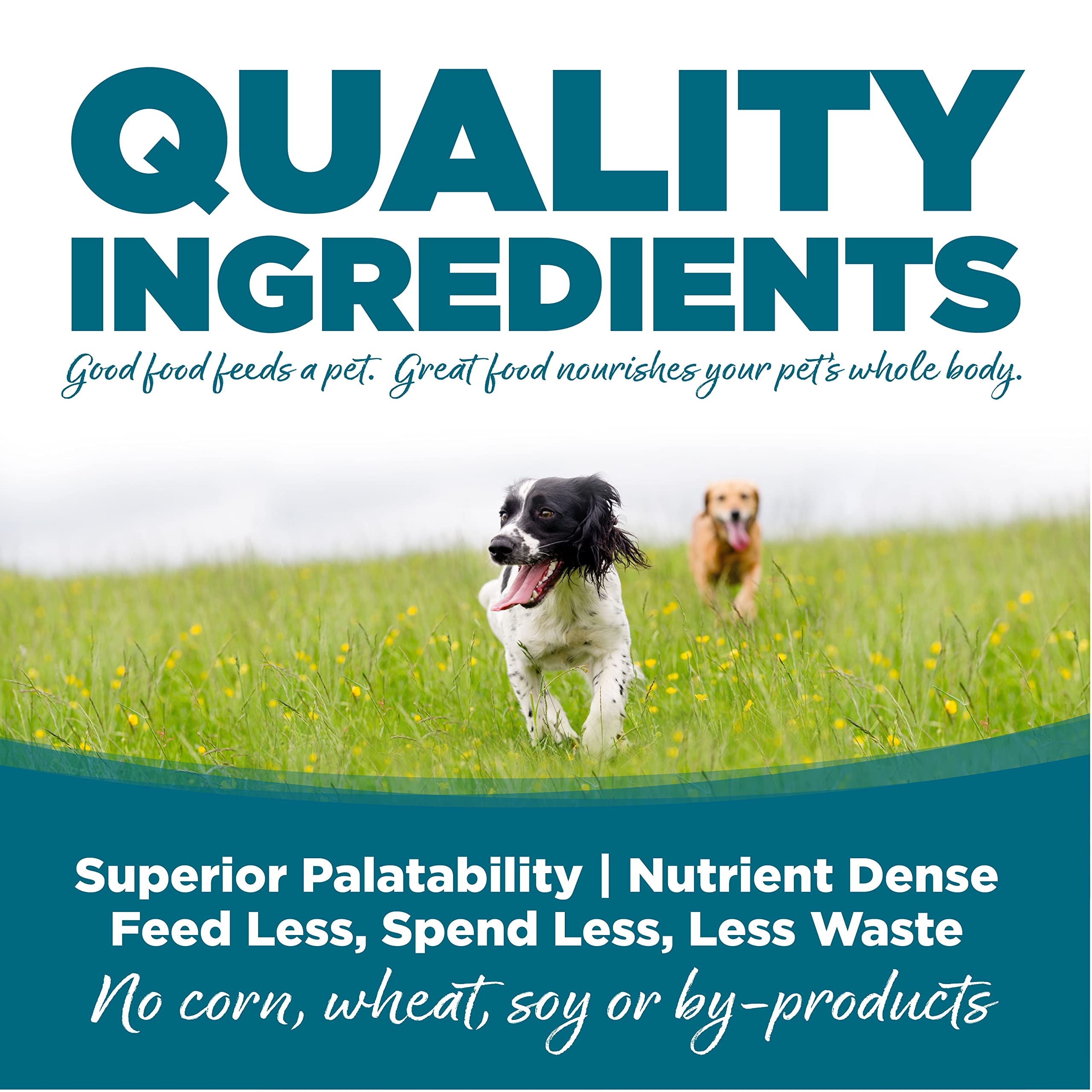 NutriSource formula with prebiotics and probiotics supports gut-friendly nutrition.