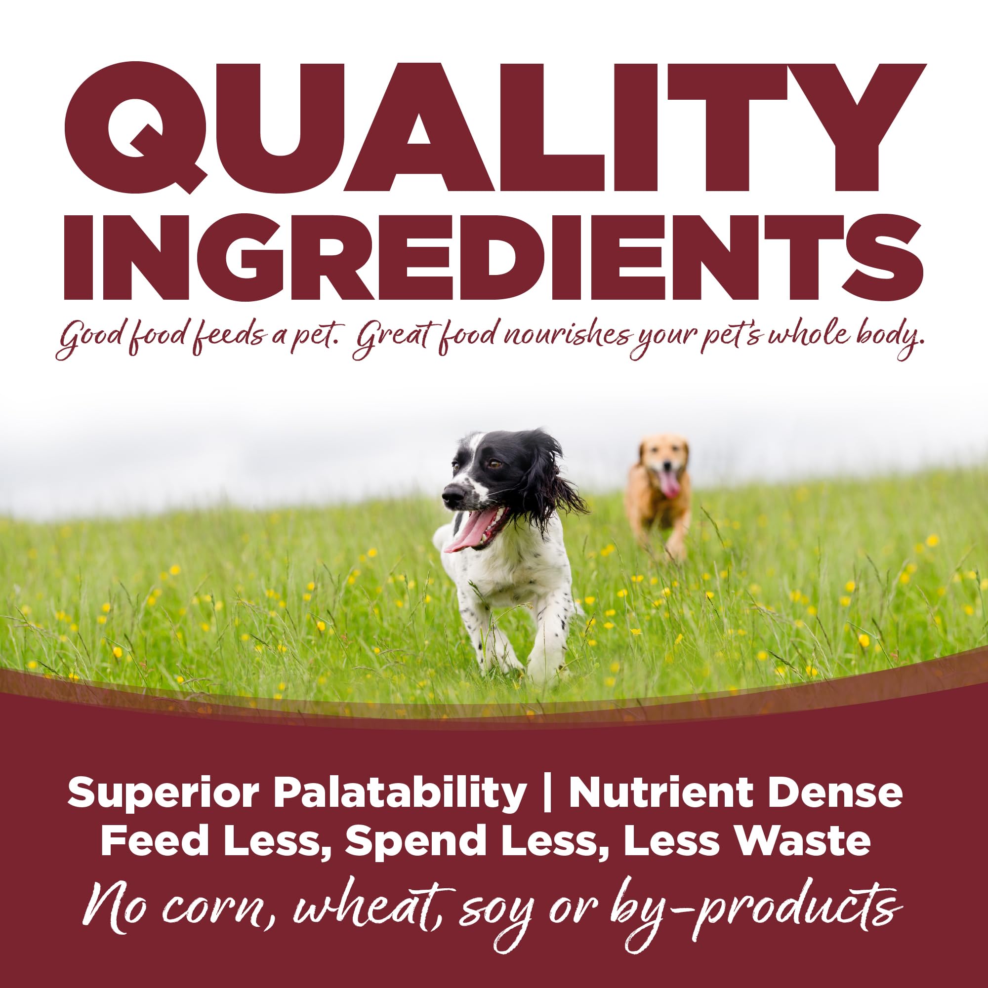 NutriSource Beef and Rice portion-time image illustrating recommended serving guidance
