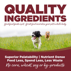 NutriSource Beef and Rice portion-time image illustrating recommended serving guidance