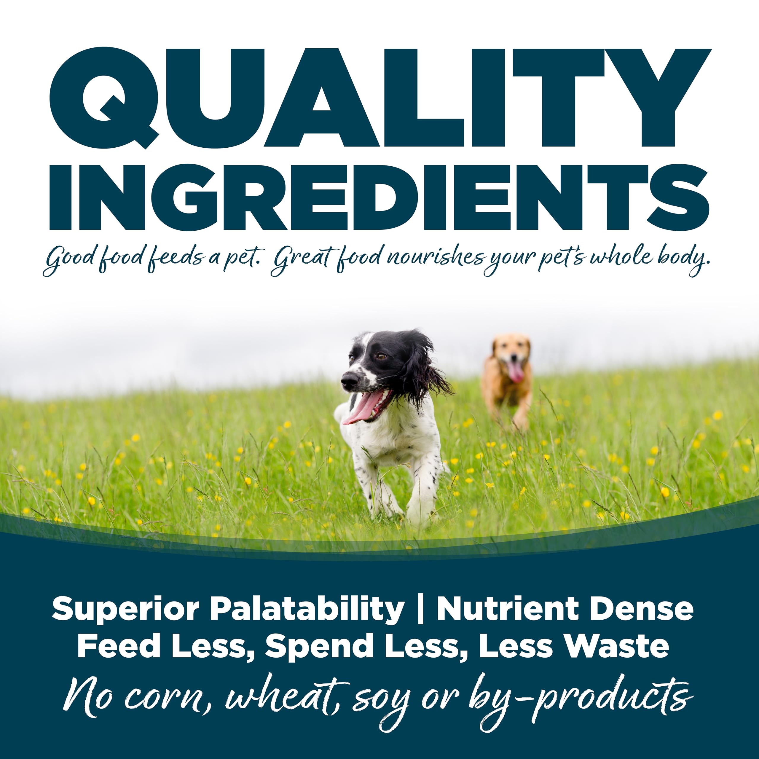 NutriSource small bites serving plate highlighting balanced nutrition at mealtime