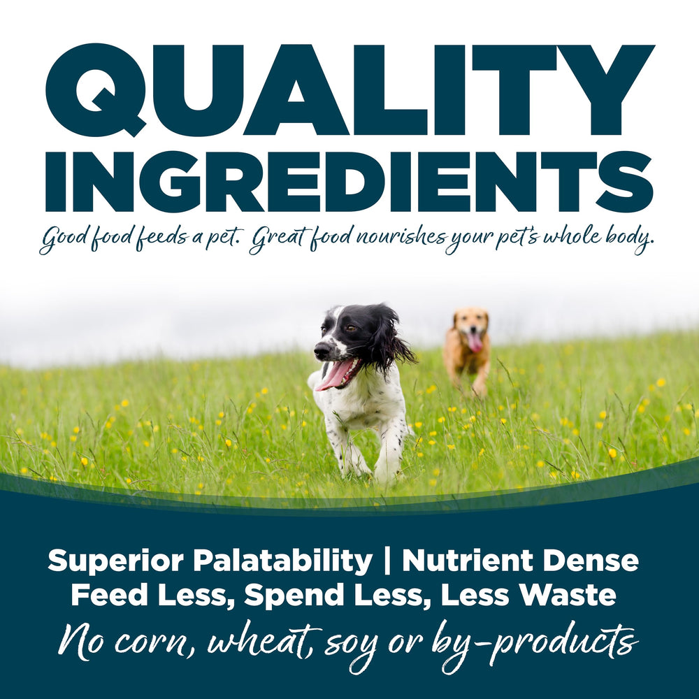 NutriSource small bites serving plate highlighting balanced nutrition at mealtime