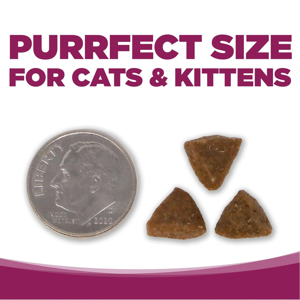 NutriSource chicken and rice kibble close-up for cats and kittens.