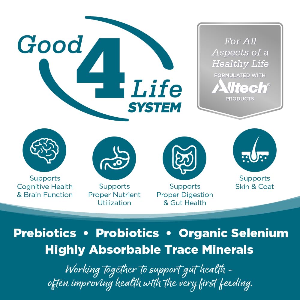 NutriSource Come-Pooch-A bone broth provides postbiotics to support digestion and immune function.