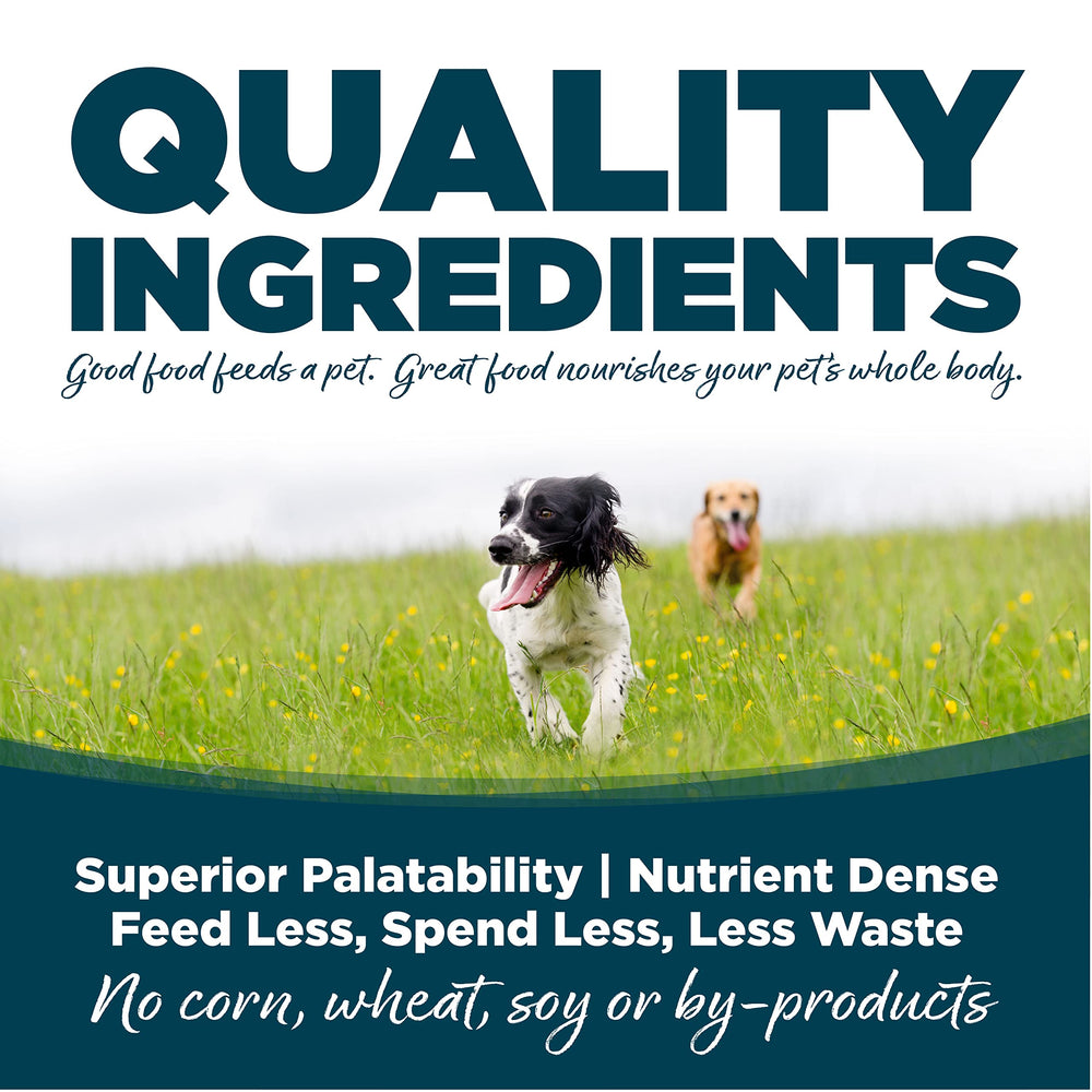 NutriSource kibble close-up emphasizes protein-dense bites for steady energy.