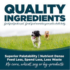 NutriSource kibble close-up emphasizes protein-dense bites for steady energy.