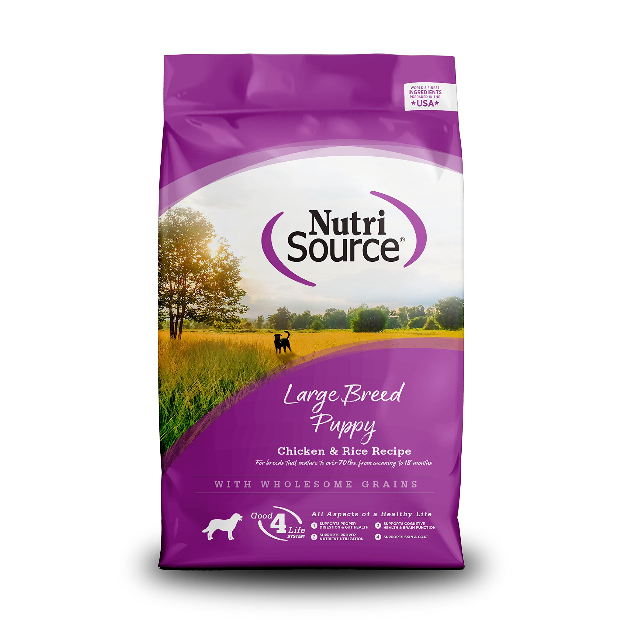 NutriSource large-breed puppy kibble in bag supports healthy growth and joint development.