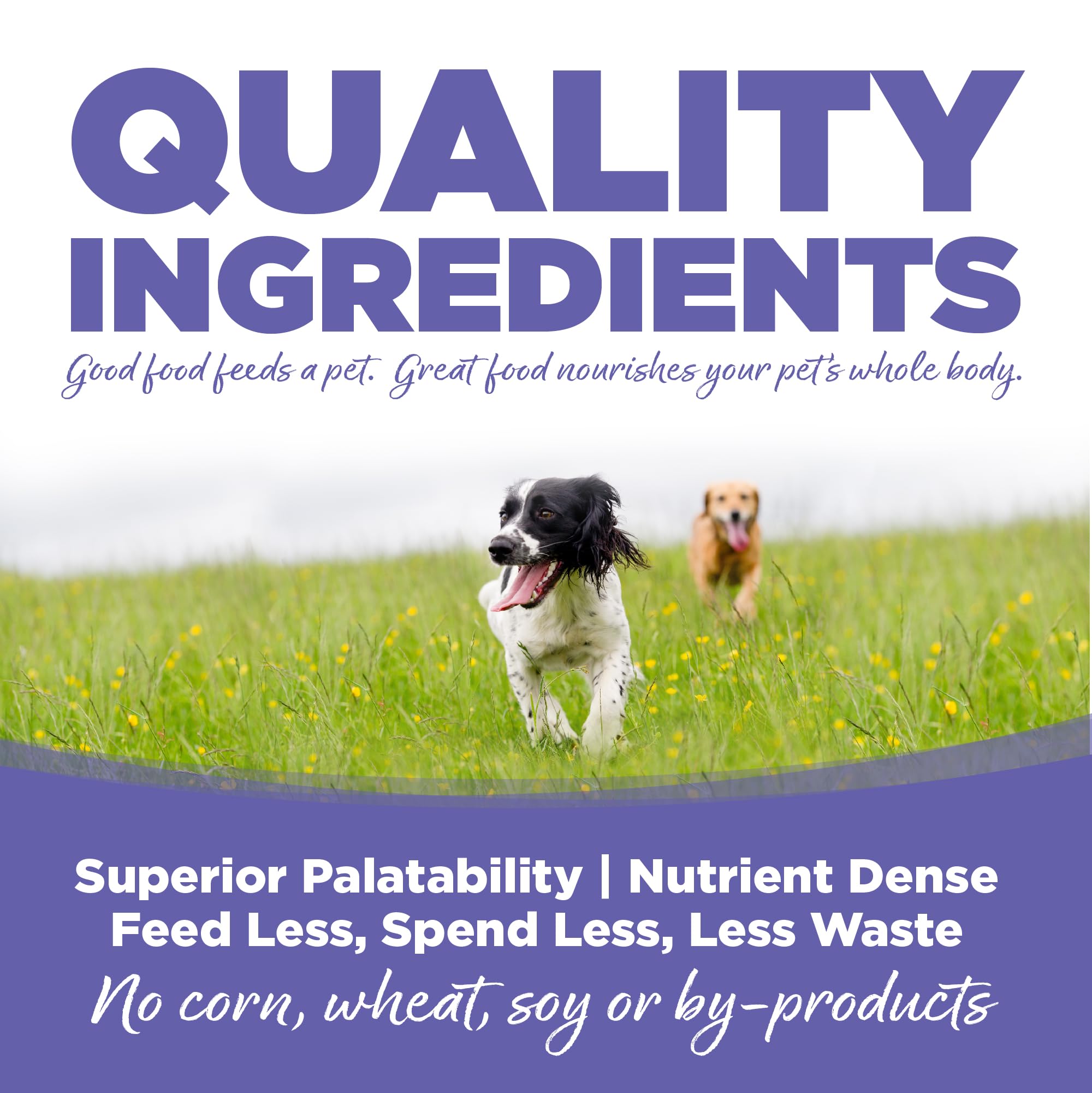 NutriSource recipe with L-Carnitine and taurine supports cardiovascular development in puppies.