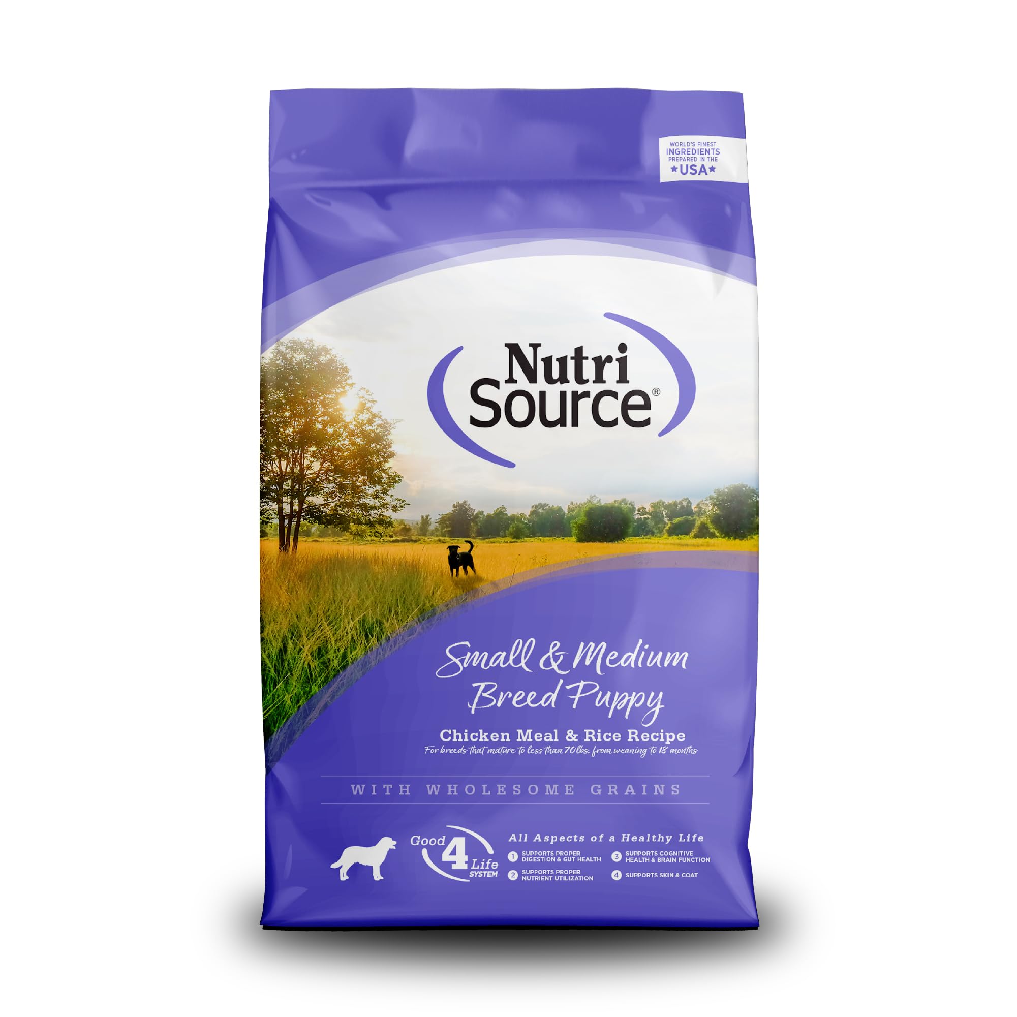 NutriSource puppy kibble in a bowl supports growing small and medium breeds with balanced nutrition.