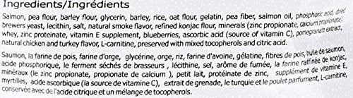 NutriSource Pure Vita Skin and Coat treats used as a training reward during play.