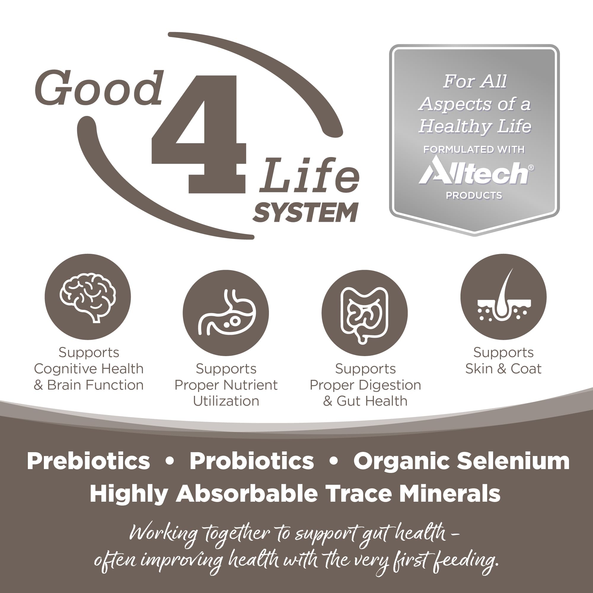 NutriSource senior dog kibble closeup emphasizes premium ingredients and gut-friendly prebiotics and probiotics.