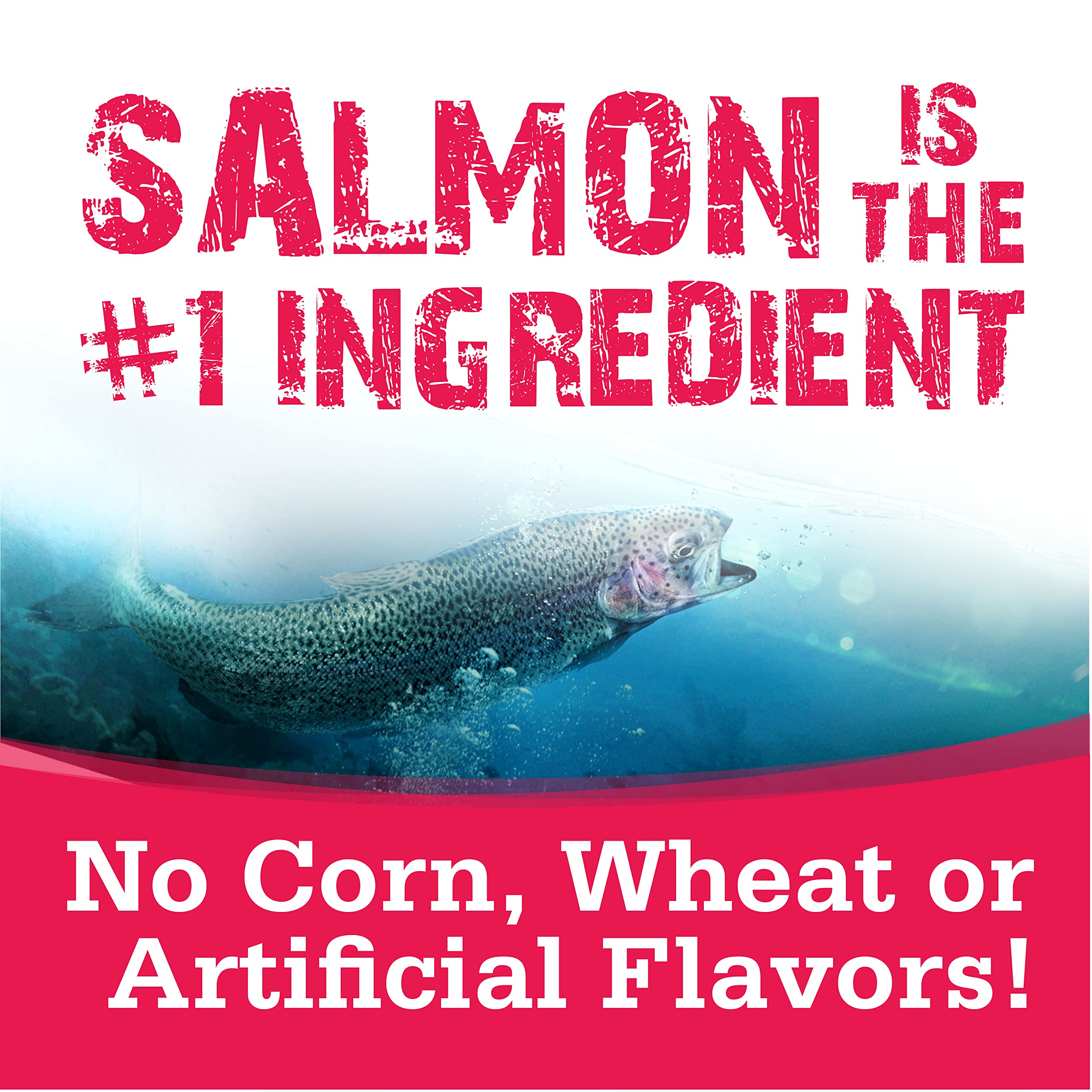 Serving bowl of NutriSource Salmon treats ready for rewarding sessions.