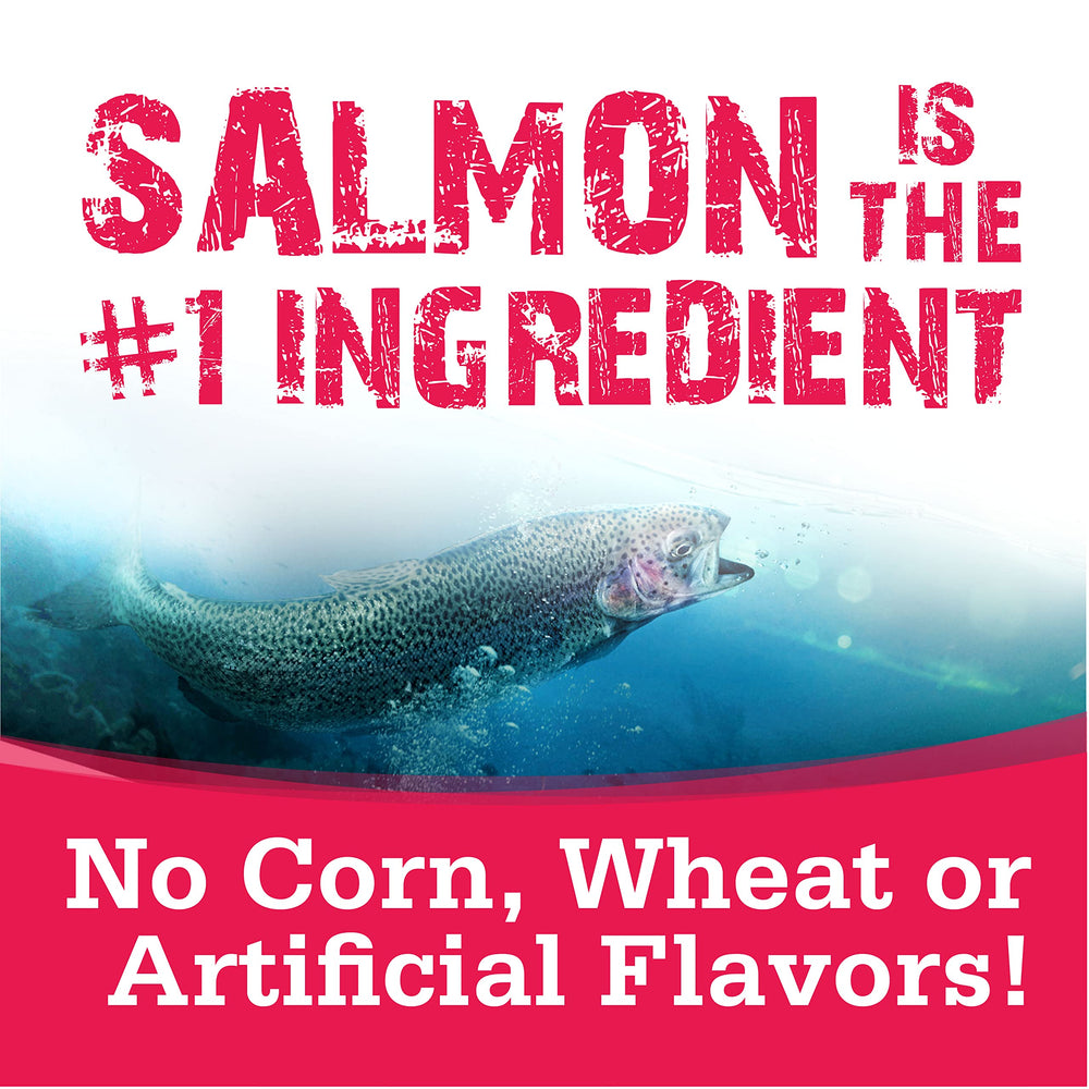 Serving bowl of NutriSource Salmon treats ready for rewarding sessions.